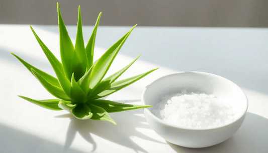 Discover the Power of Magnesium: Back2Nature Herbals' Deodorant Line - Back2Nature Herbals