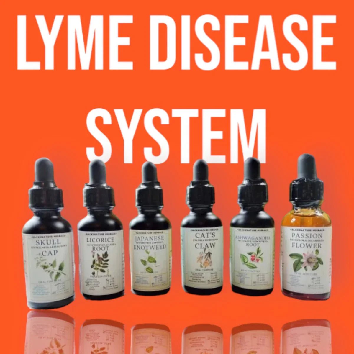 NATURAL LYMES DISEASE SUPPORT SYSTEM - Back2Nature Herbals