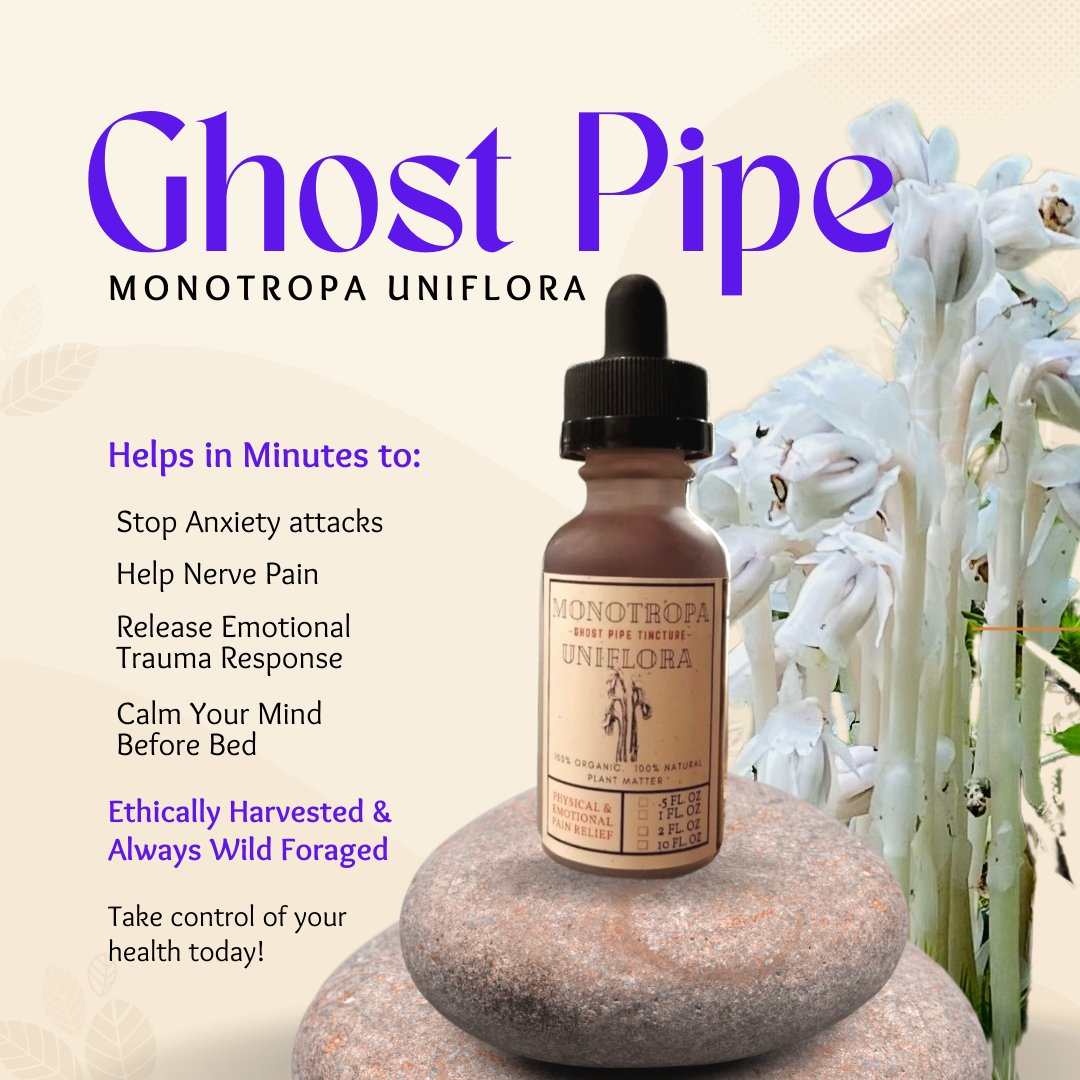 Organic Ghost Pipe (Monotropa Uniflora) - Back 2 Nature Herbals