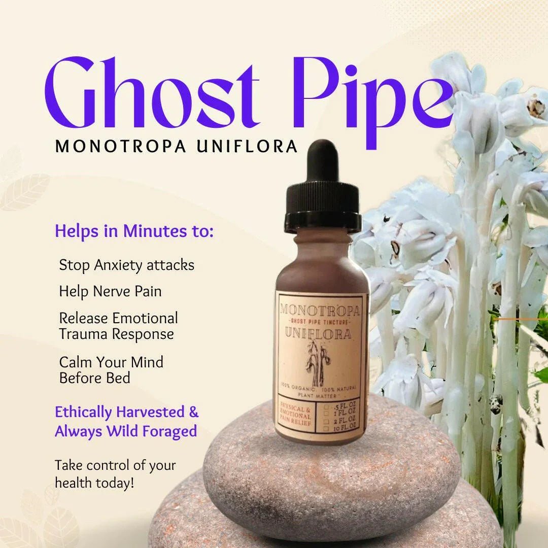 Organic Ghost Pipe (Monotropa Uniflora) - Back2Nature Herbals