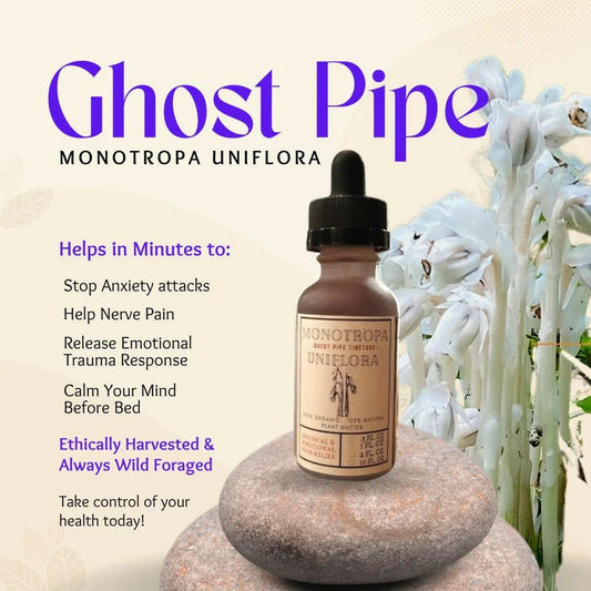 Organic Ghost Pipe (Monotropa Uniflora) - Back2Nature Herbals