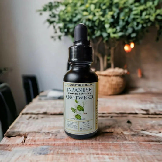 Organic Japanese Knotweed Tincture - Back2Nature Herbals