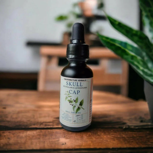 Organic Skullcap Tincture - Back2Nature Herbals