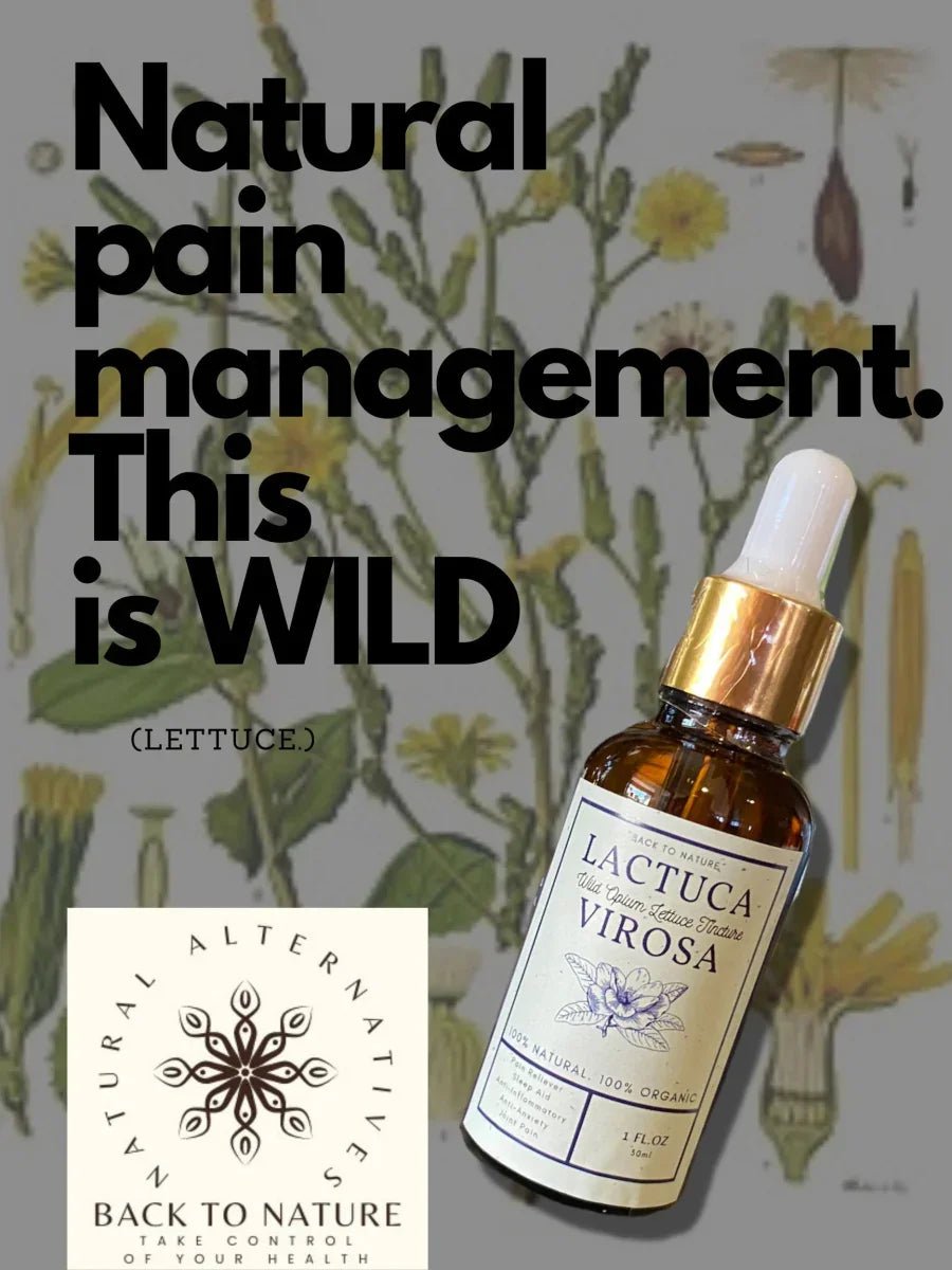 Organic Wild Lettuce Tincture - Back2Nature Herbals