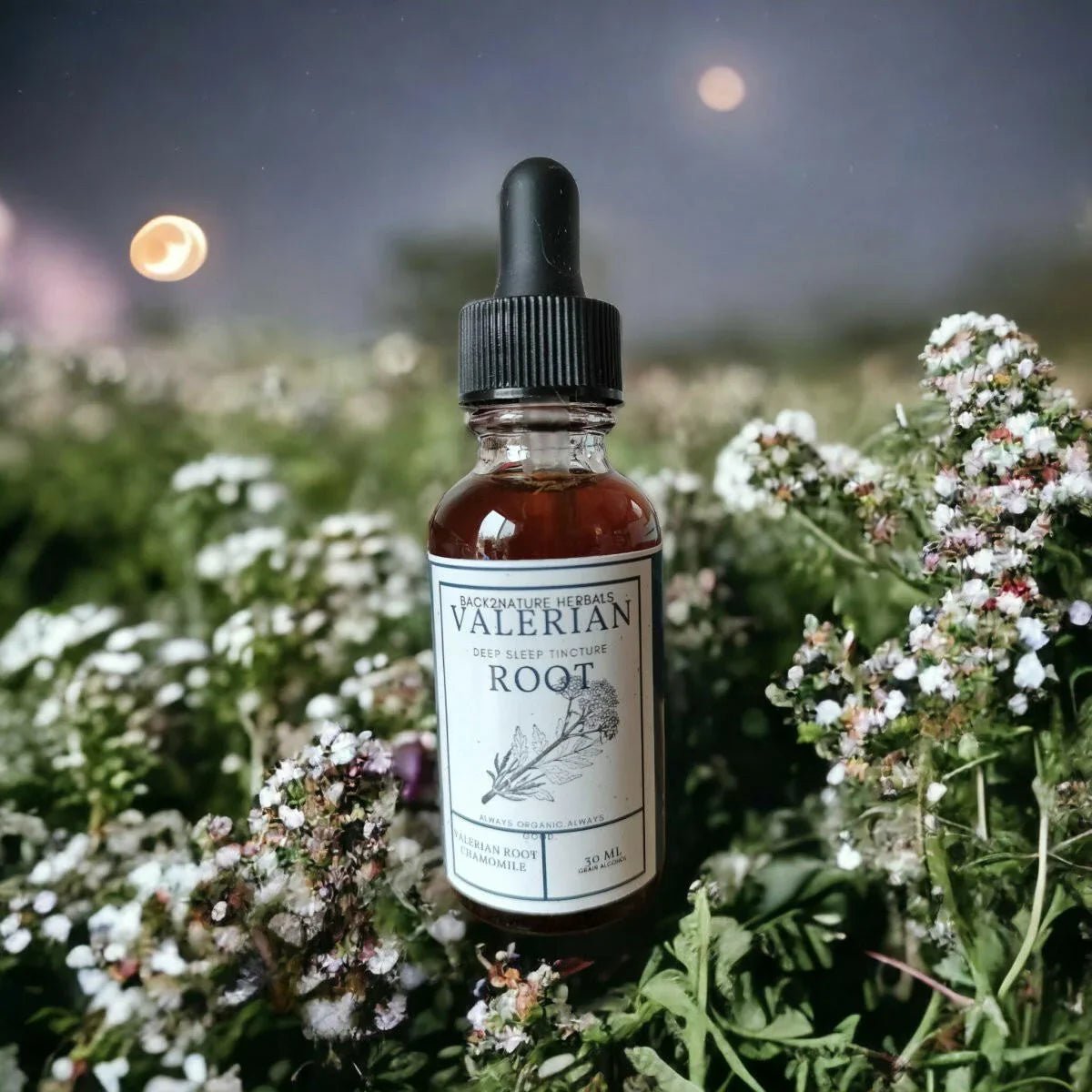 Valerian Root Sleep Tincture - Back2Nature Herbals