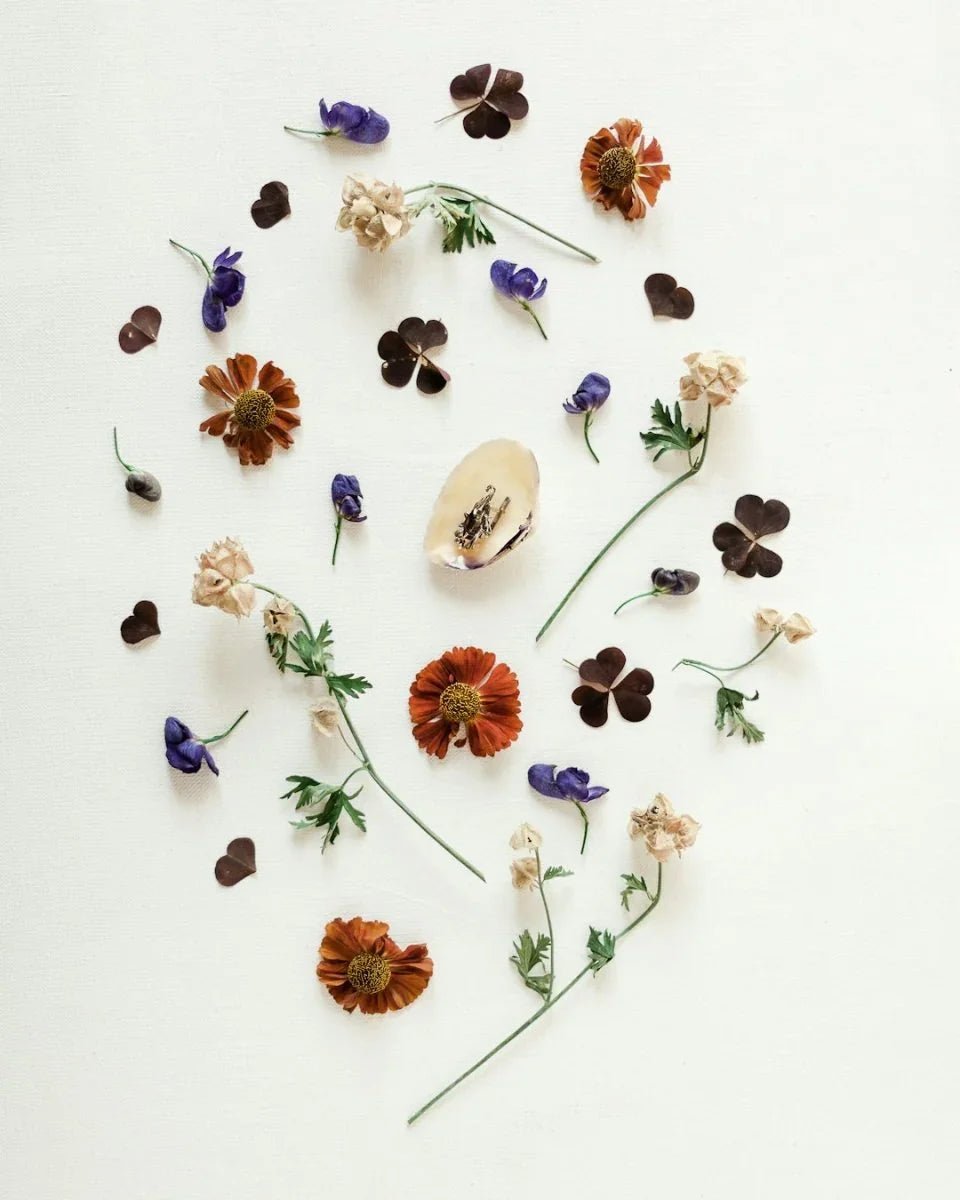Exploring the Healing Power of Medicinal Plants in Traditional Chinese Medicine - Back2Nature Herbals