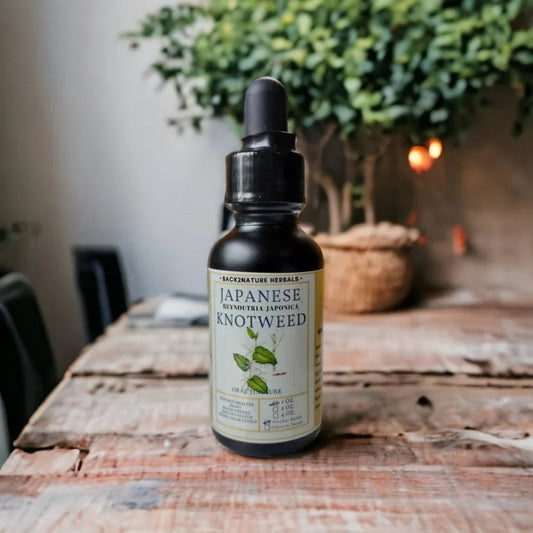 Japanese Knotweed: A Comprehensive Guide to its Amazing Health Benefits - Back2Nature Herbals