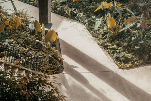 Relax and Rejuvenate: Discover the Power of Medicinal Plants for Stress Relief - Back2Nature Herbals