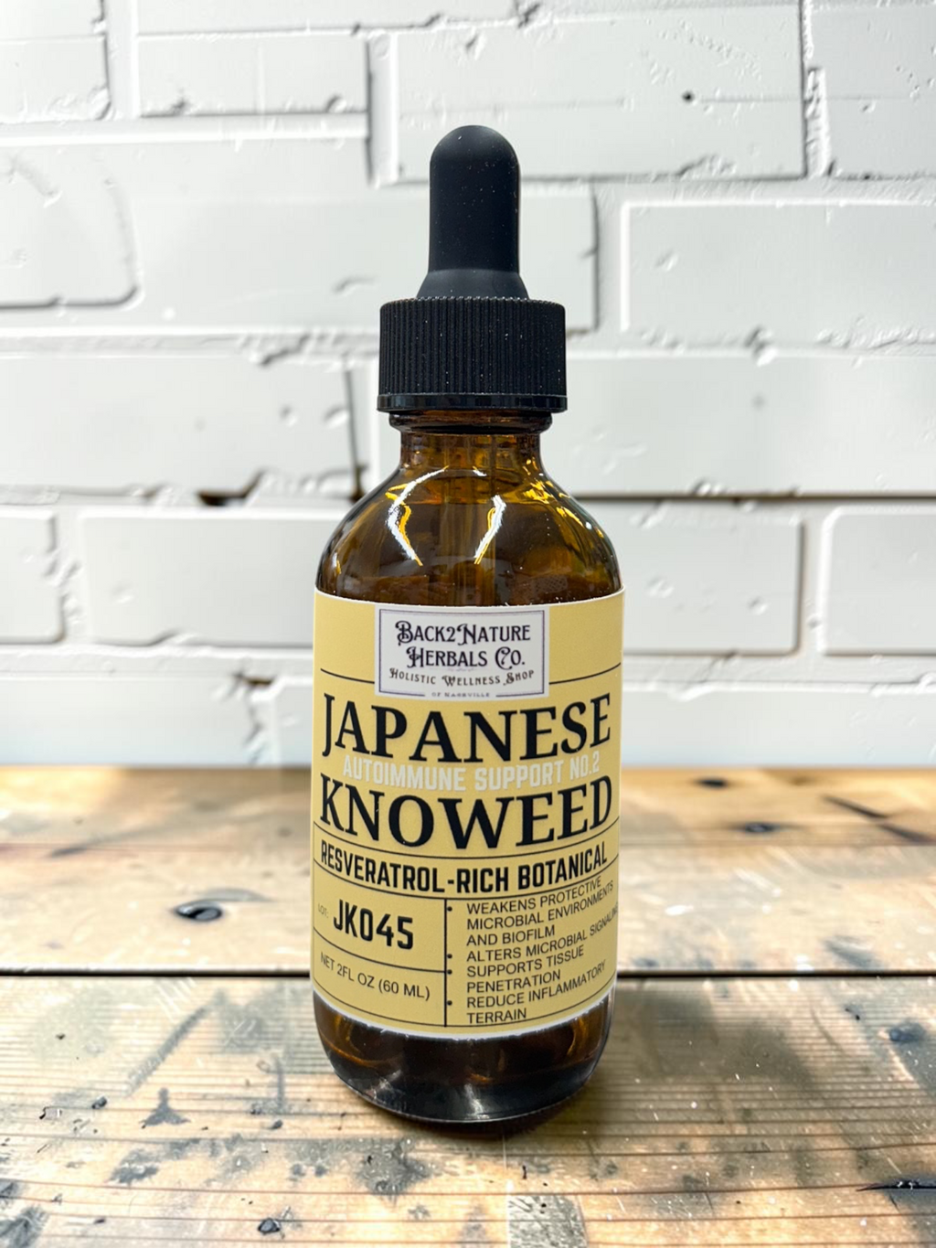 Japanese Knotweed Root Tincture I Wild Foraged