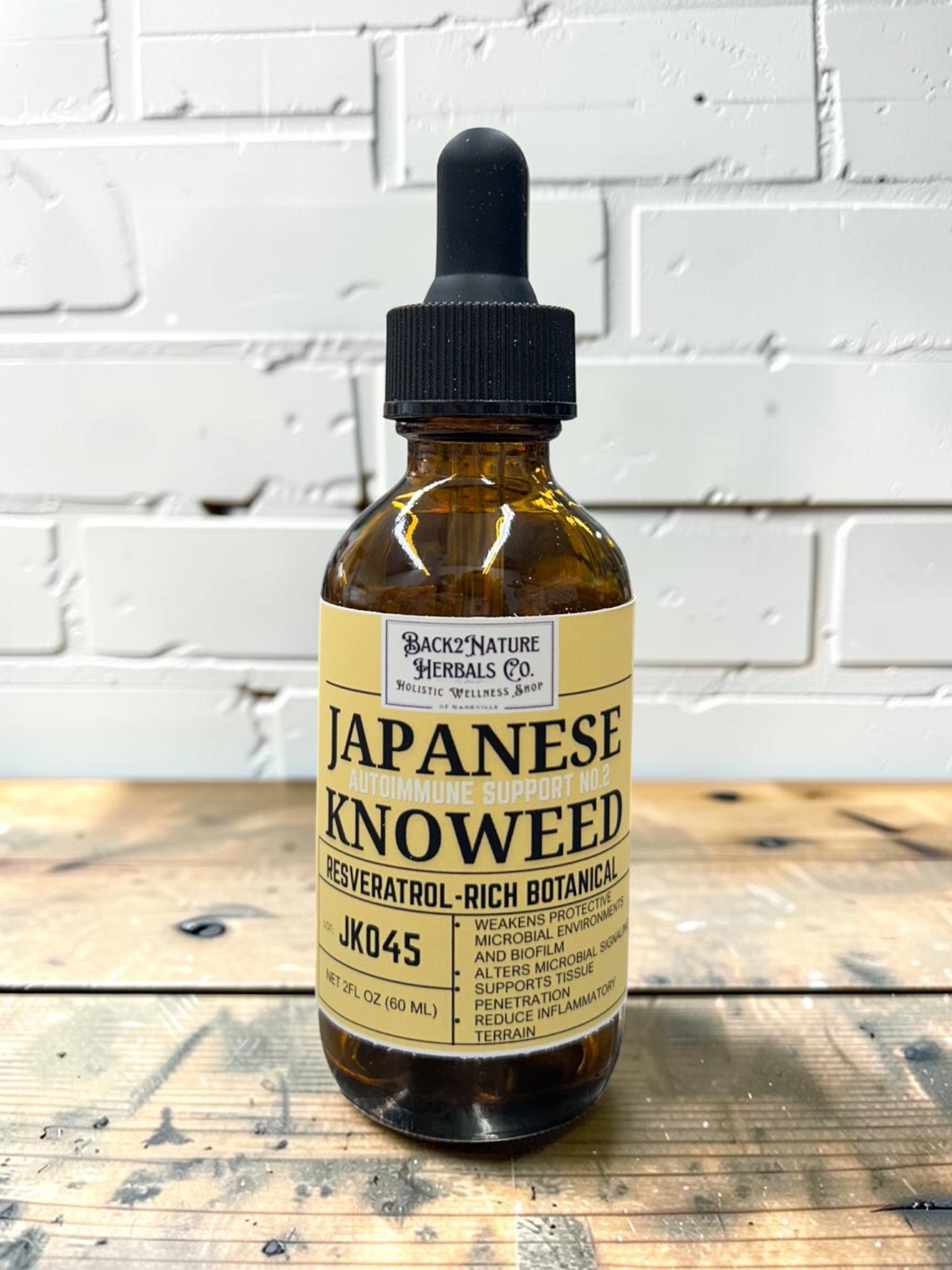 Japanese Knotweed Root Tincture I Wild Foraged