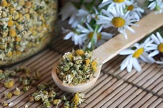 Chamomile - Bulk Herb
