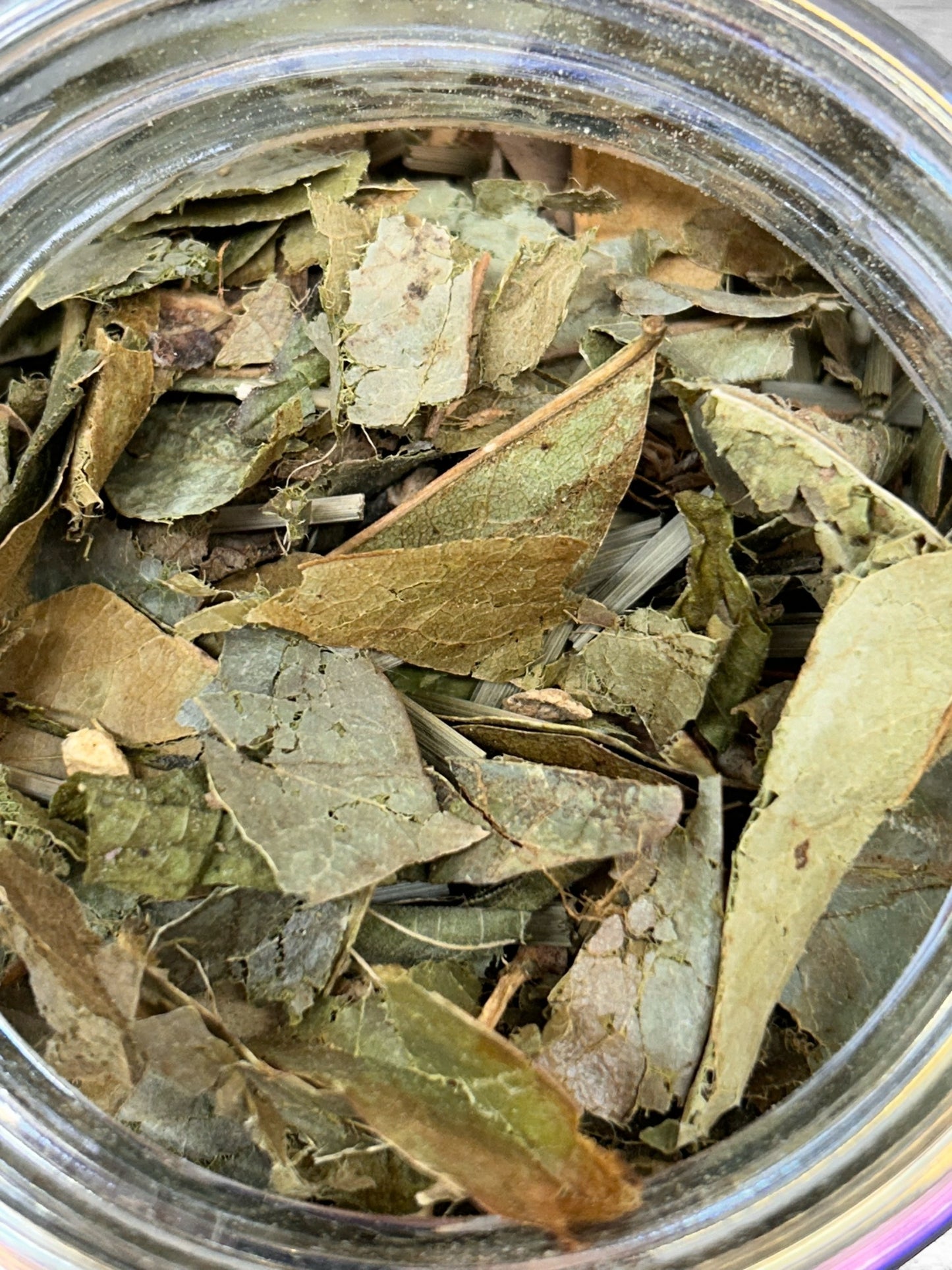 Soursop Leaf Tea | Wild-Harvested Herbal Wellness Tea