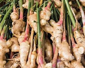 Ginger Root - Bulk Herb