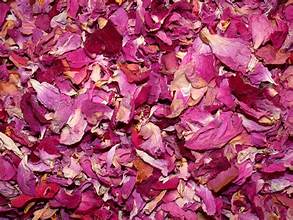 Rose Petals - Bulk Herb