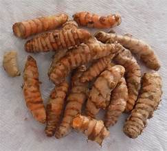 Turmeric Root - Bulk Herb