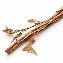 White Willow Bark - Bulk Herb