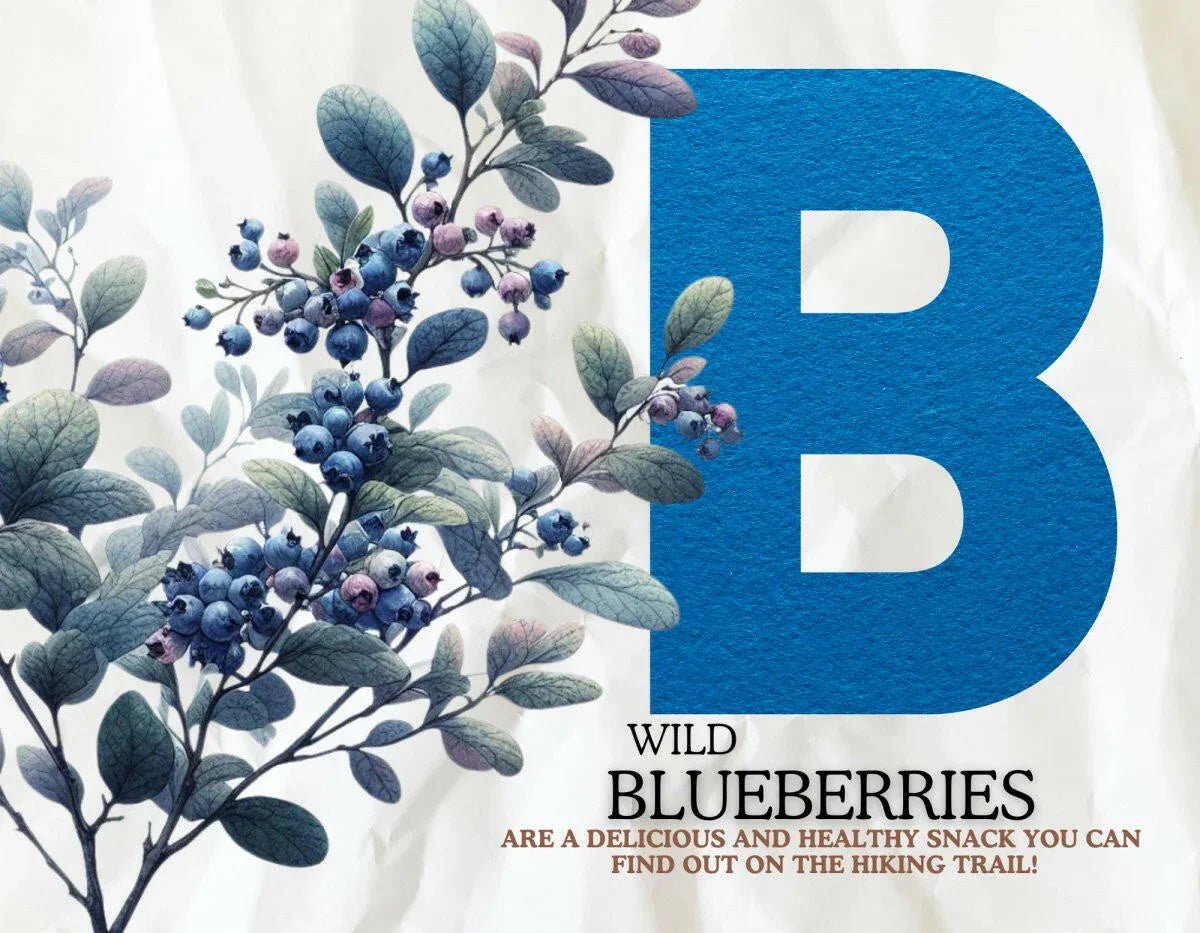 ABC's of Wild Foraging: A young beginners guide to wild food and medicine) - Back2Nature Herbals