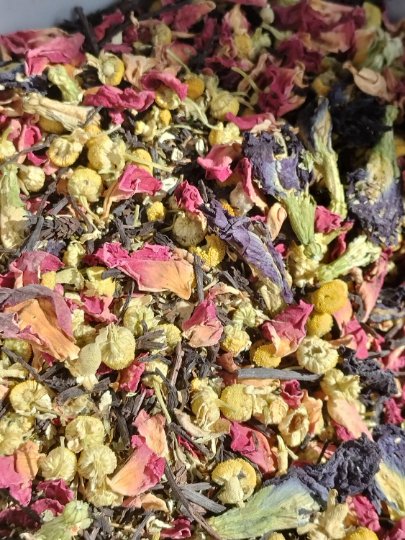 Ghost Pipe Tea - Back 2 Nature Herbals