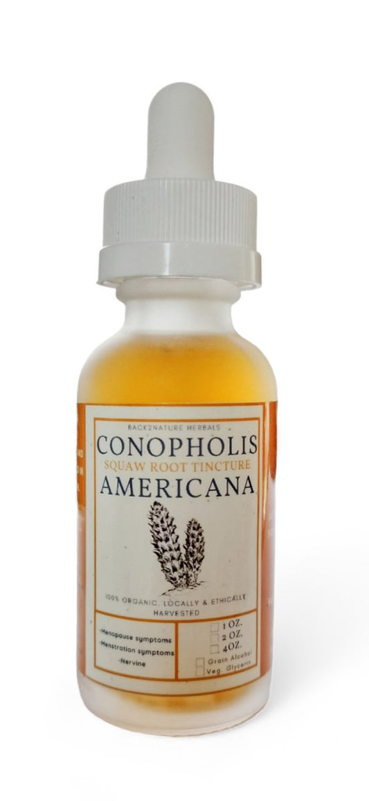 Organic Conopholis Americana (Menopause relief) - Back 2 Nature Herbals